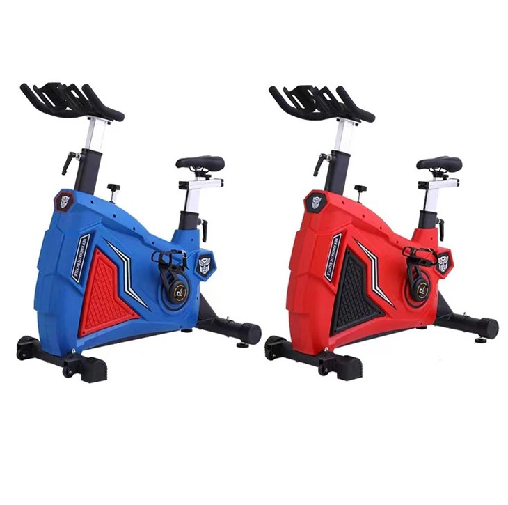 Professional Indoor Magnetic Spinning Bike